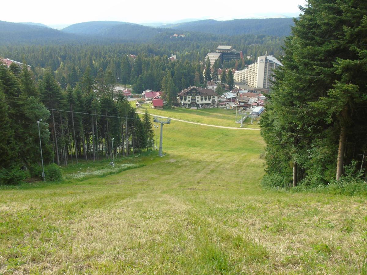 Apartamento Хотел Флора Private Studio All Seasons Borovets Exterior foto