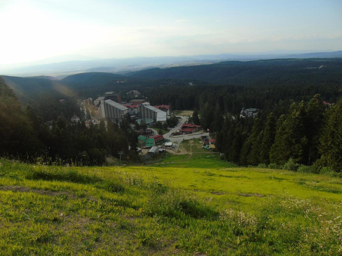 Apartamento Хотел Флора Private Studio All Seasons Borovets Exterior foto